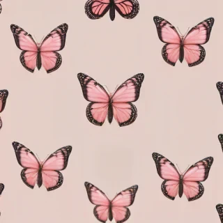 pink butterfly wallpaper aesthetic