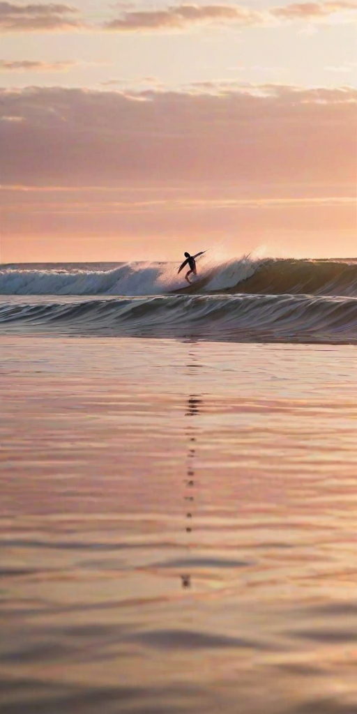 Blurry action shot of a surfer riding a massive wave at sunrise, the water's surface catching soft pink and orange reflections from the sky, with distant seagulls flying in the background.