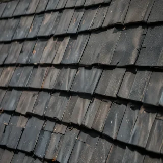 pictures of shingles