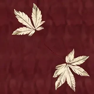 maroon aesthetic wallpaper