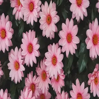flower aesthetic