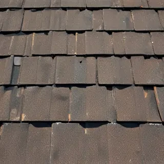 picture of shingles