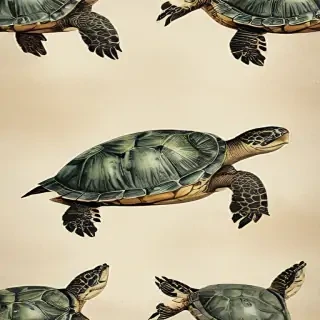 turtle wallpaper