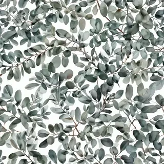 eucalyptus clipart black and white