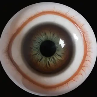 eyeball png