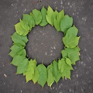 leaf circle