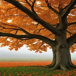 autumn tree png