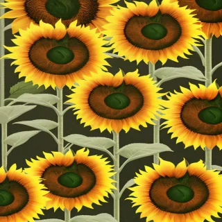 cute sunflower backgrounds