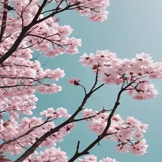 spring aesthetic desktop wallpaper