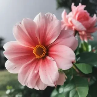cute aesthetic flower wallpapers