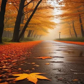 autumn wallpaper phone