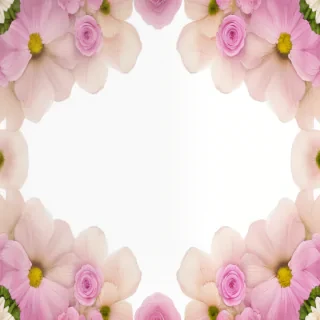 flowers clear background