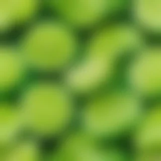 lime green background