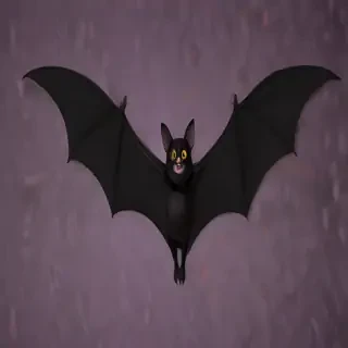 halloween bat pictures