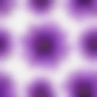 transparent purple flower
