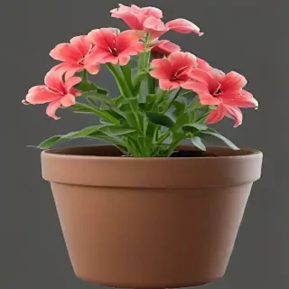 flower pot png