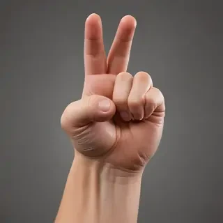 finger pointing png