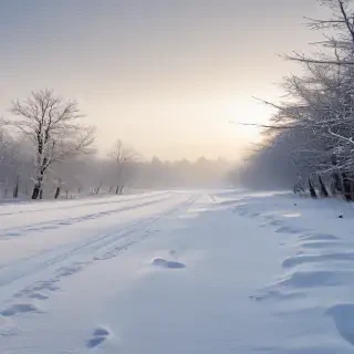 snow transparent