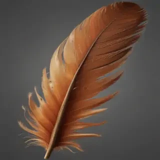 feather png
