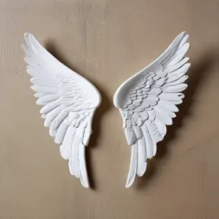 picture of angel wings