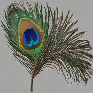 peacock feather png