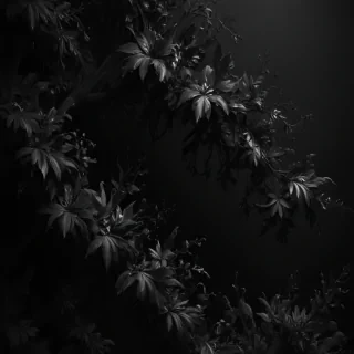 black screen wallpaper