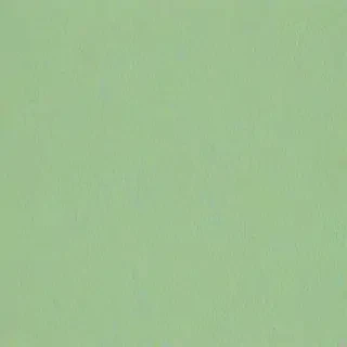 light sage green background