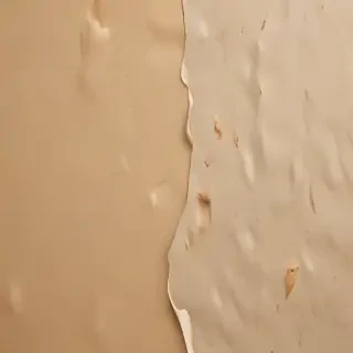 torn paper texture