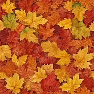 autumn leaves png