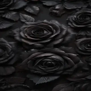 blackrose background