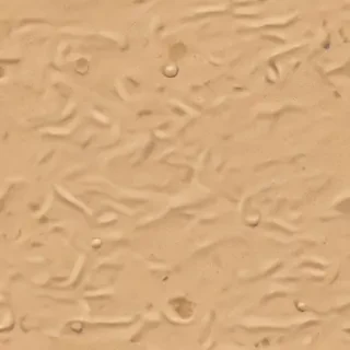 cartoon sand