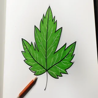leaf doodle