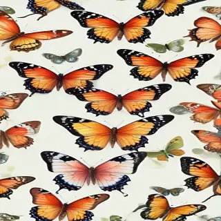 pictures of butterflies to draw
