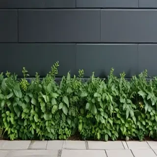 greenery border