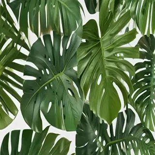 monstera png
