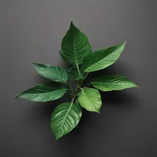 plant phone wallpaper