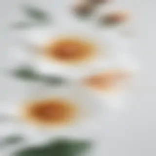 flower white bg
