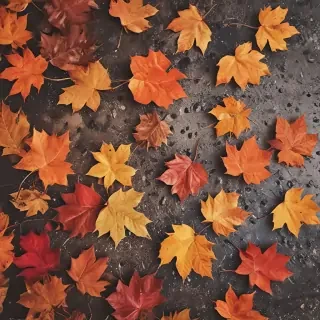 autumn background iphone