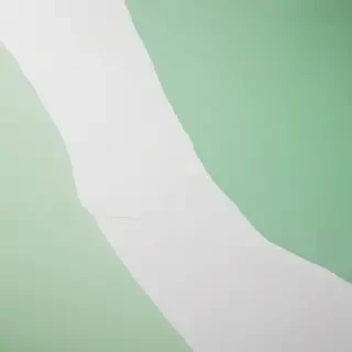 white and green background