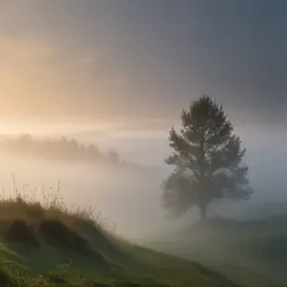 fog transparent background
