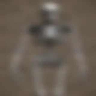 skeleton wallpaper