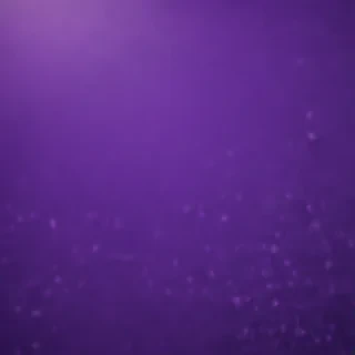 purple background plain