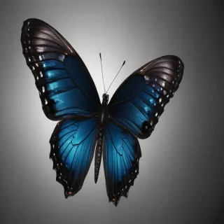 black butterfly png