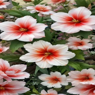 computer wallpaper floral