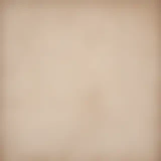 canvas texture overlay