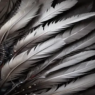 feather background