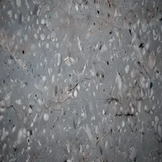 sticker texture