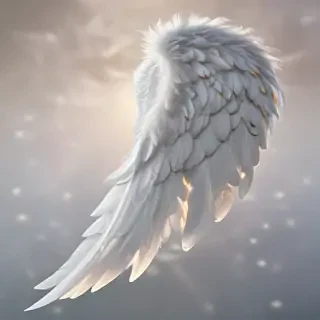 angel wing images