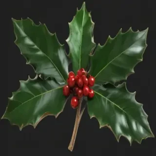 holly png