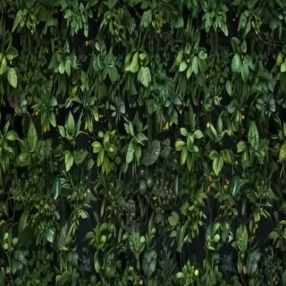plant wallpaper